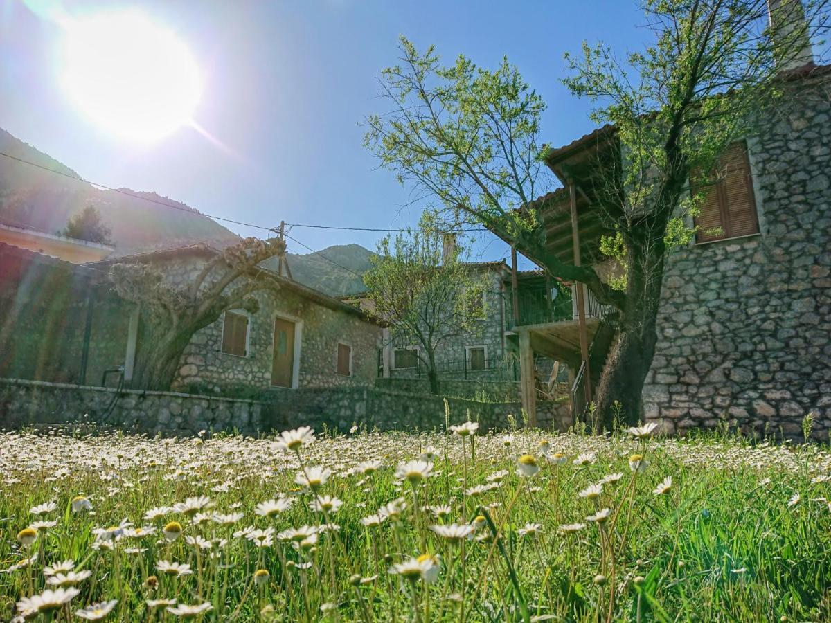 1935 Home Lílaia Exteriér fotografie